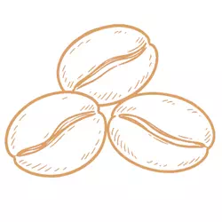 Каталог зерна